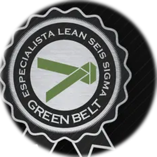 Selo Especialista Lean Seis Sigma do Grupo Voitto