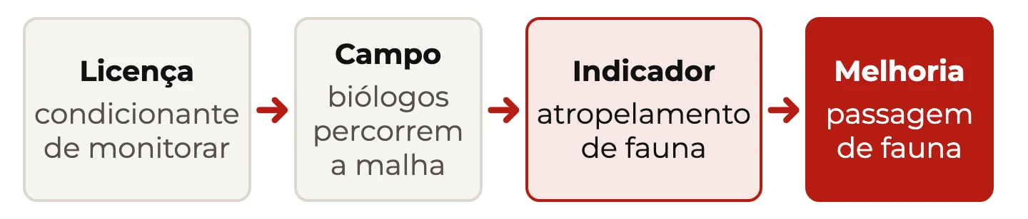 Fluxo da condicionante da licença ao monitoramento por biólogos, ao indicador de atropelamento de fauna e à construção da passagem de fauna
