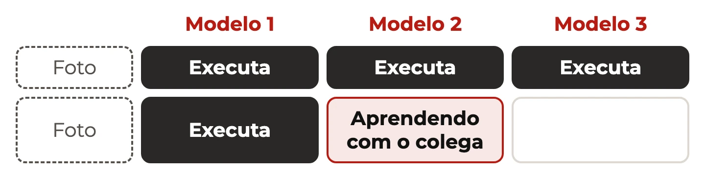 Esquema da matriz de habilidades: foto à esquerda, uma coluna por modelo de produto e células marcadas como executa ou aprendendo