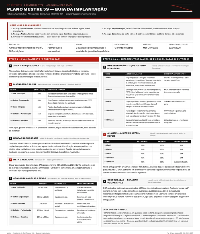 Plano Mestre 5S do almoxarifado de insumos de uma indústria farmacêutica (caso ilustrativo)