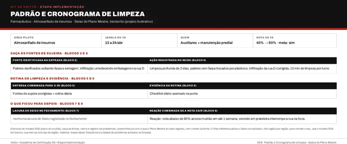 Seiso do almoxarifado de insumos no modelo S08 (caso ilustrativo)