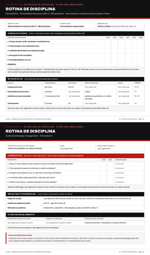 Folha S10 do Kit 5S preenchida para o almoxarifado de insumos farmacêuticos (caso ilustrativo)