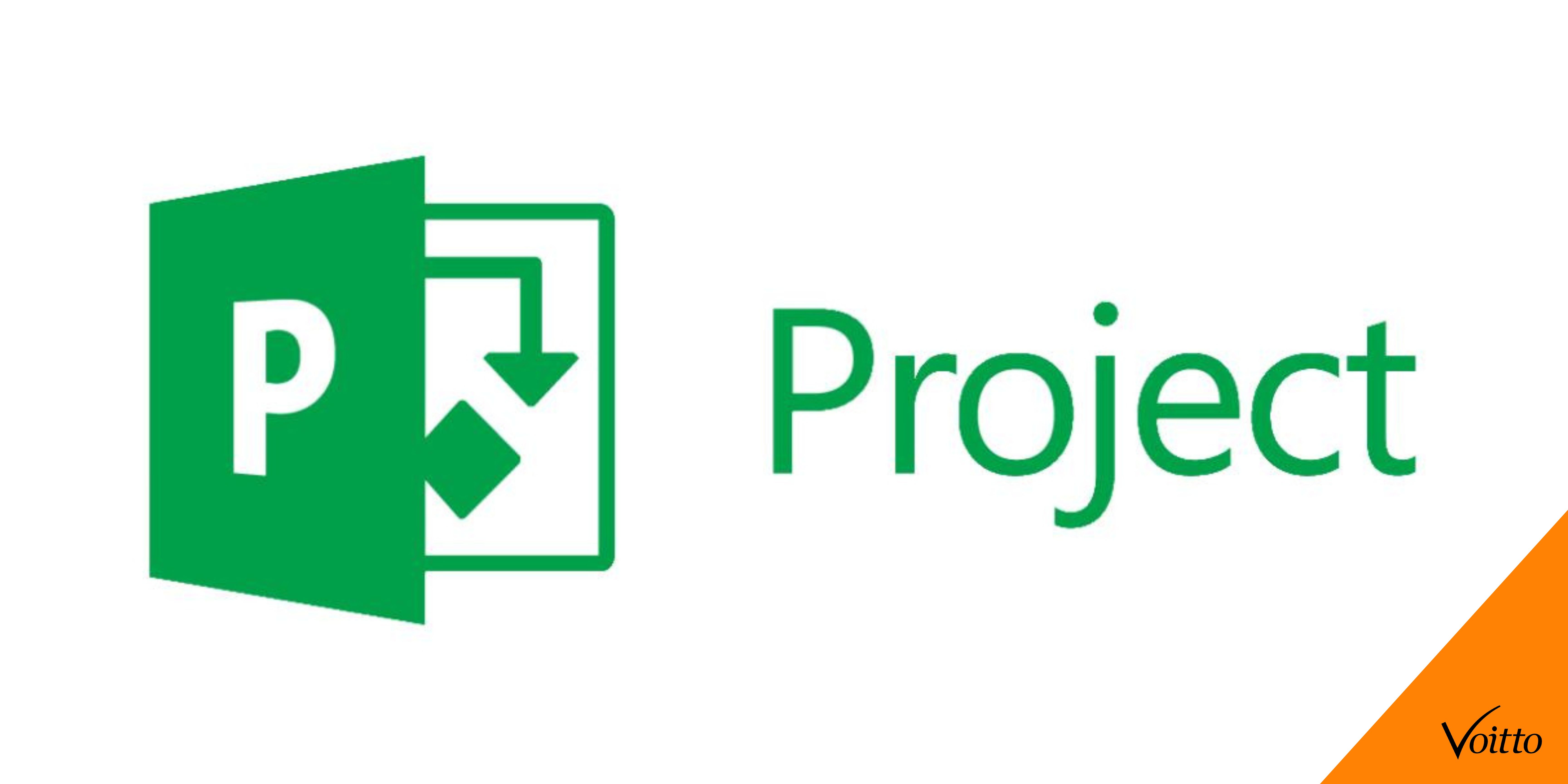 MS Project logo MS Project logo