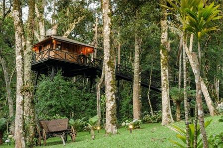 casa na arvore airbnb