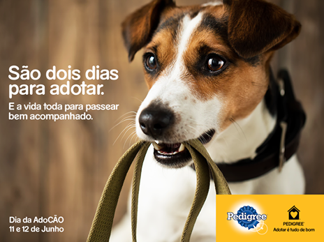 Pedigree: Adotar é tudo de bom
