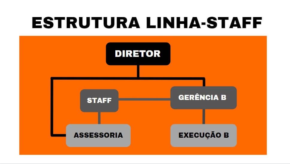 Estrutura Linha Staff