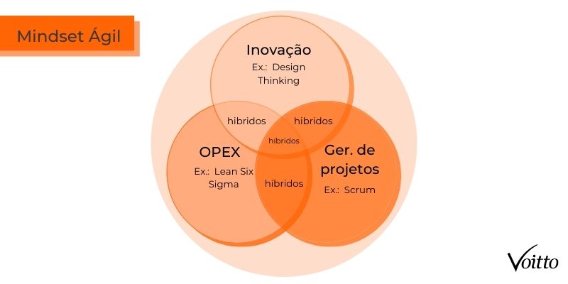 Mindset Ágil 