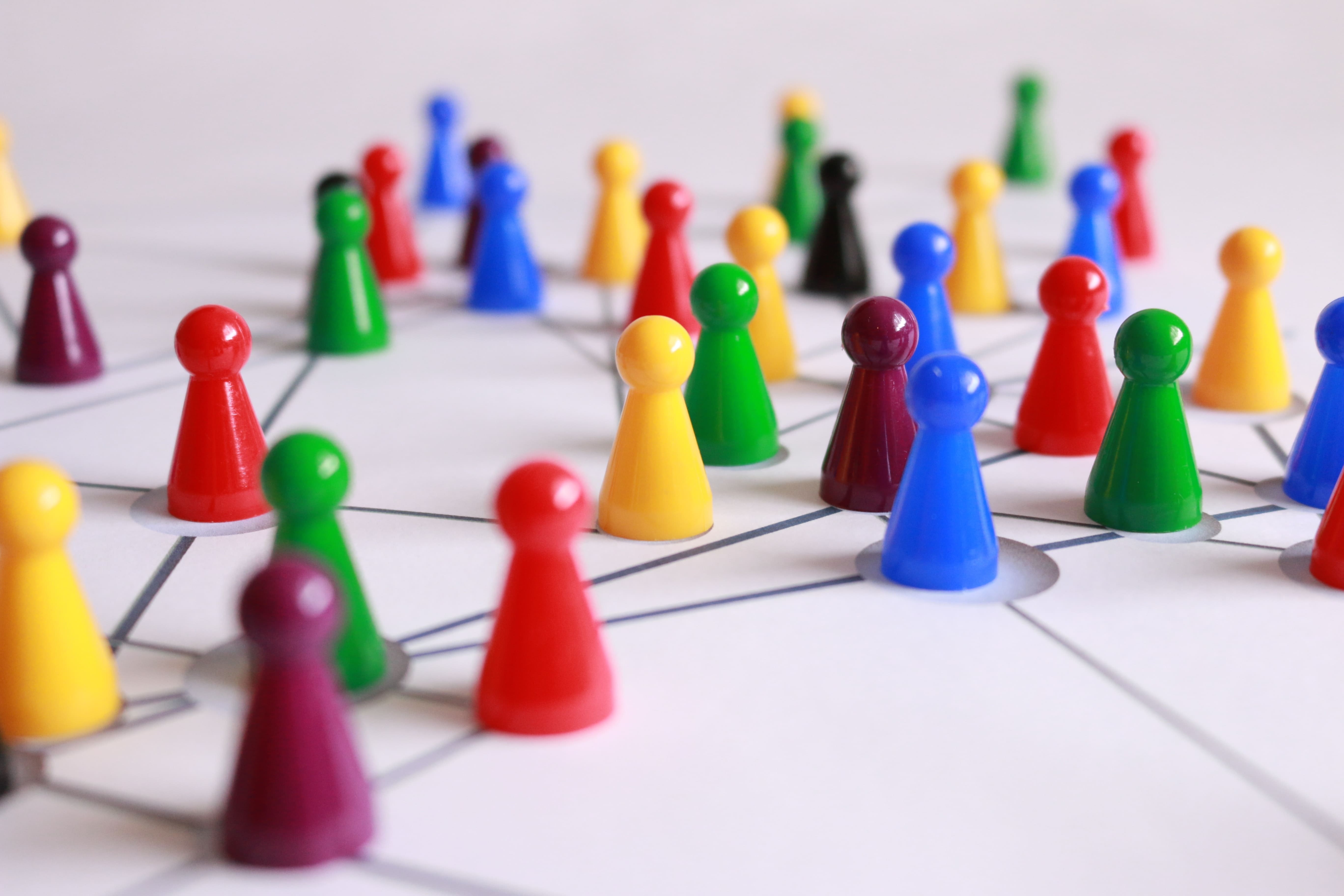Network: uma rede de contatos e troca