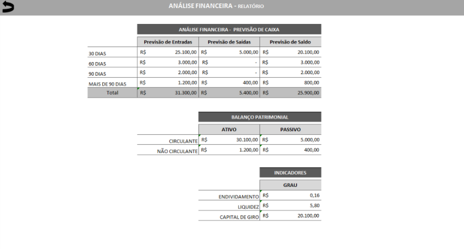 Aba de Relatório da planilha de Mapa de Análise Financeira.