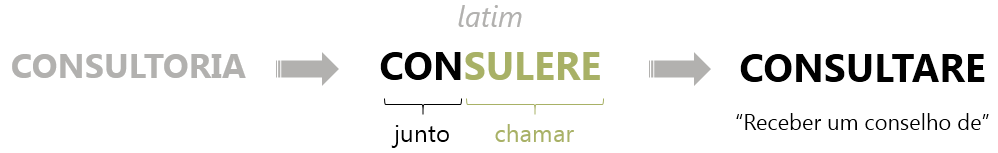 termo consultoria