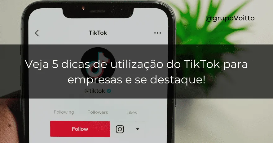 Veja 5 dicas de utilização do TikTok Para Empresas e se destaque!