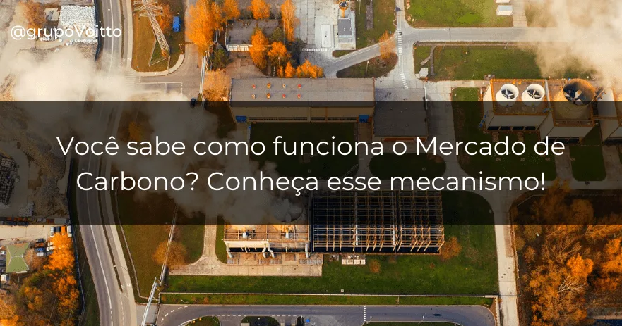 Você sabe como funciona o Mercado de Carbono? Conheça esse mecanismo!